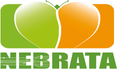 Logo NEBRATA Consulting